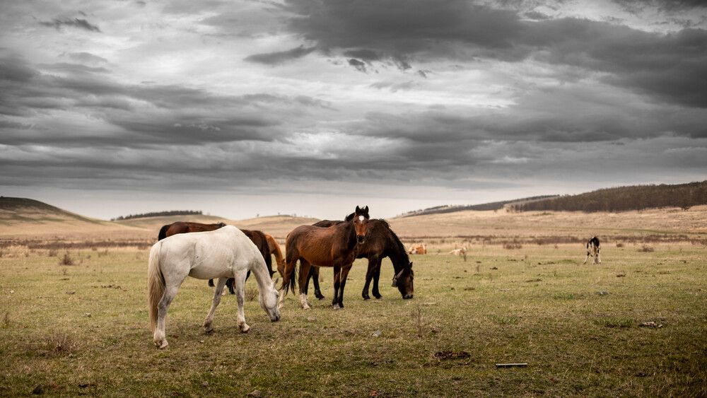 Фотография автора Сергей Третьяков