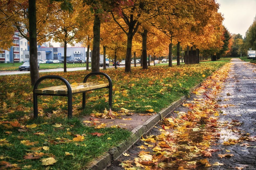 Фотография автора Юлия Кранина