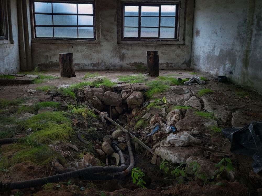 Photograph by Alexandr Gorelenkov