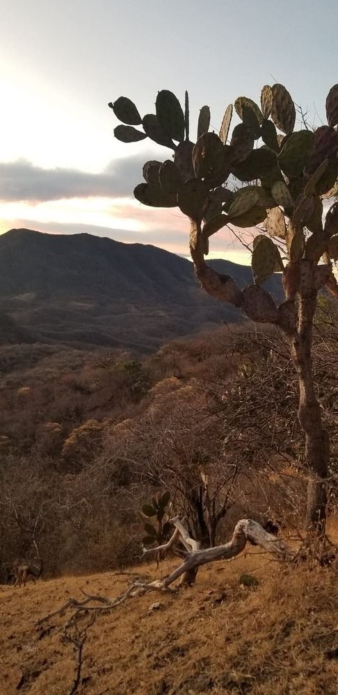 Photograph by Angelica Aceves