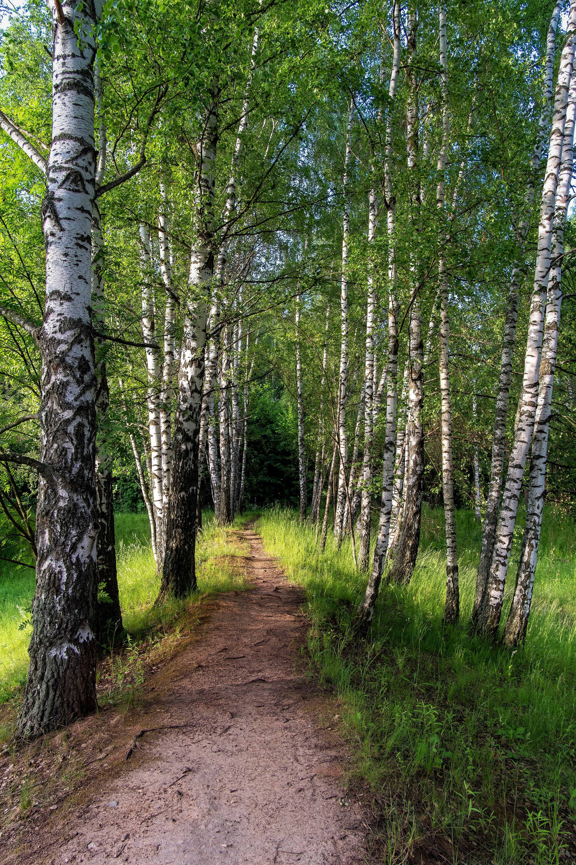 Photograph by Михаил Косолапов