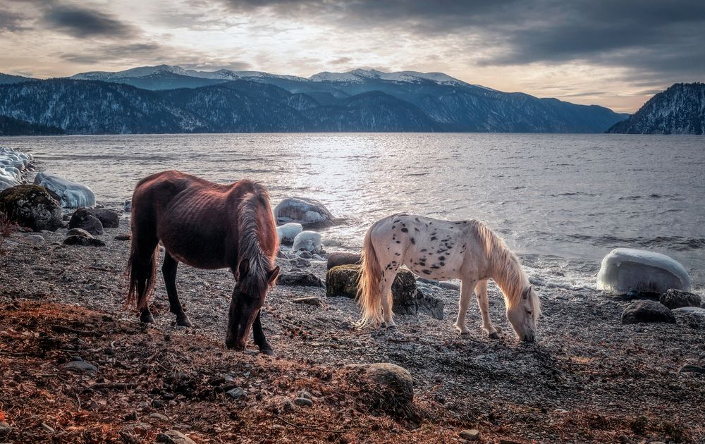 Photograph by Lora Pavlova