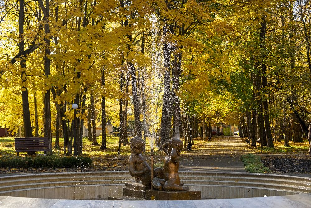 Фотография автора Наталья Липовская