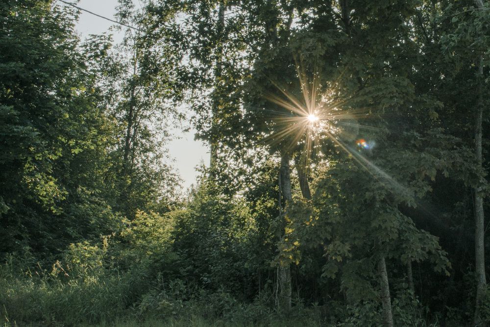 Photograph by Людмила Куприянова