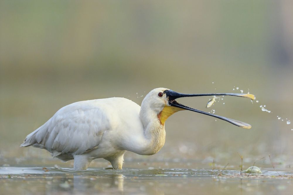 Photograph by Пупонин Сергей
