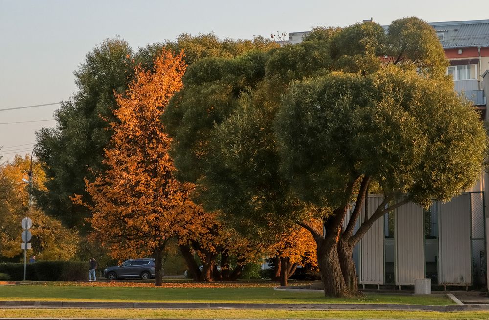 Photograph by Алексей Ошвинцев