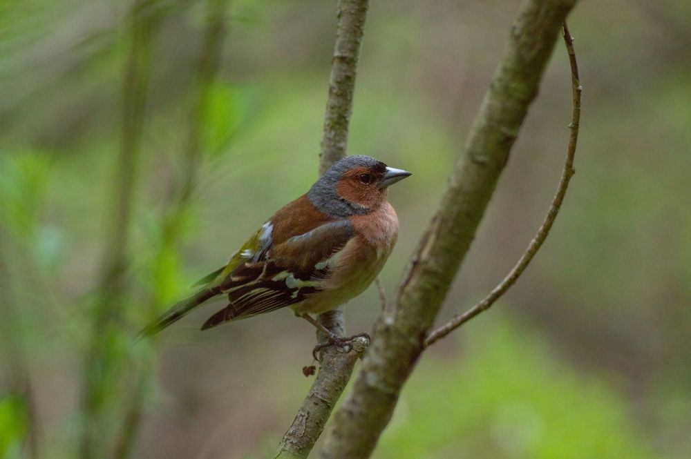 Photograph by Анастасия