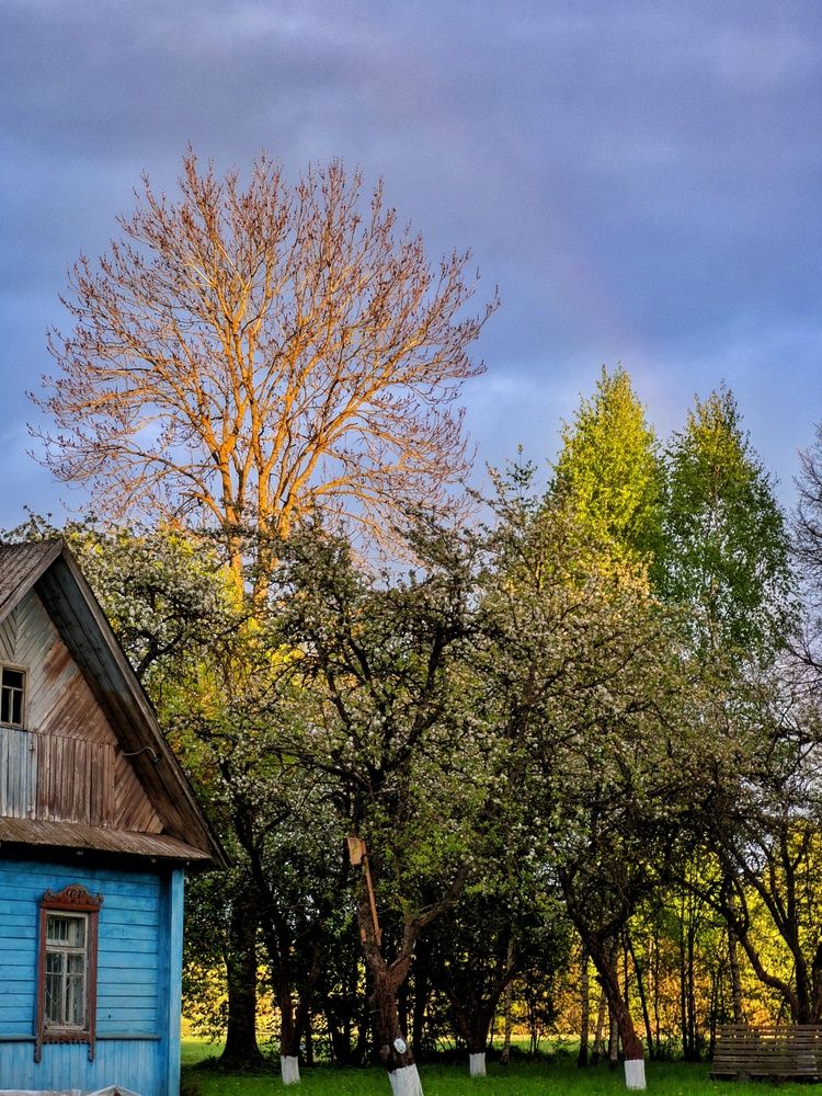 Фотография автора Alexandr Gorelenkov