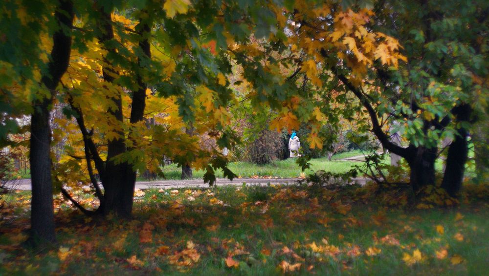 Фотография автора Е лена Е