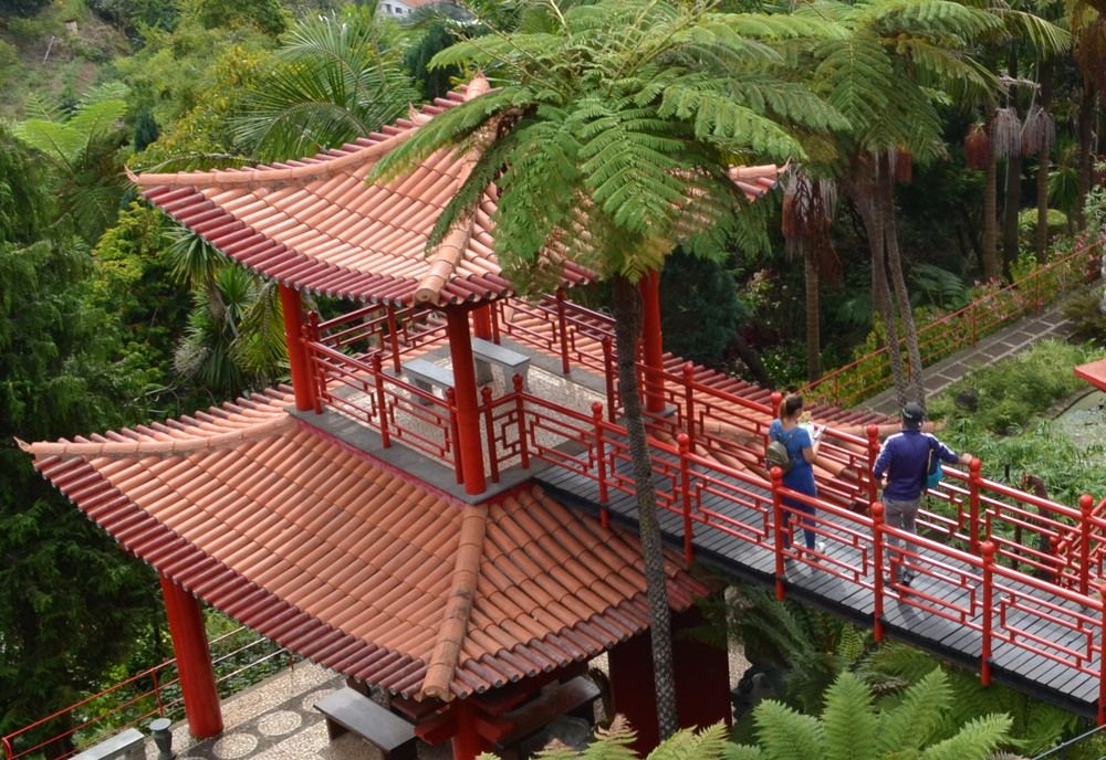 Photograph by Жанна Нечаева