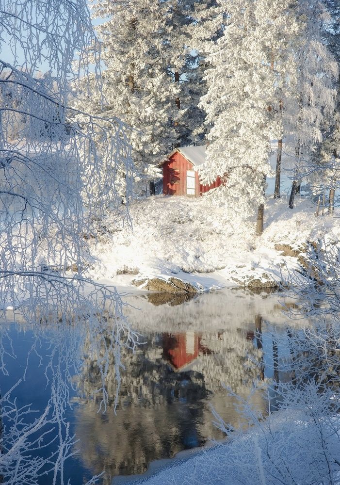 Фотография автора Alina Filimonova