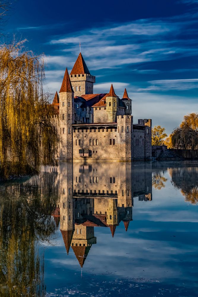 Photograph by Sveta_Poln