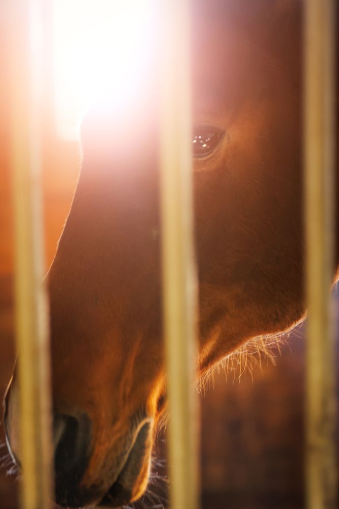 Photograph by Андрей Кокшаров