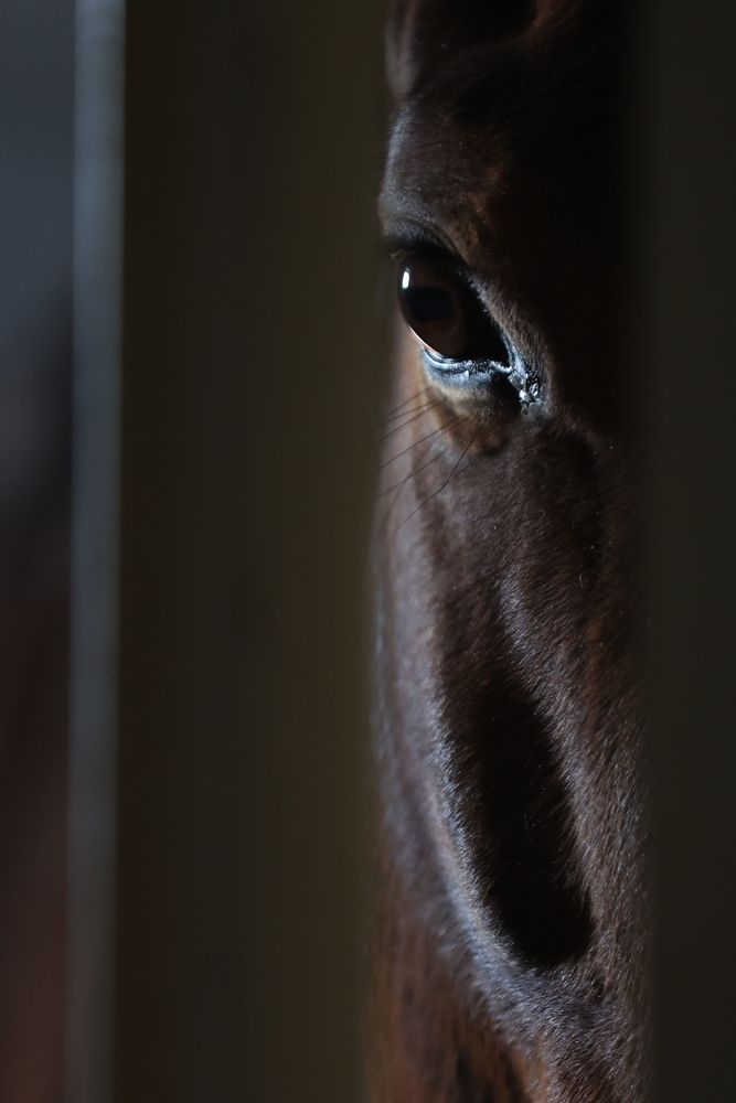 Photograph by Андрей Кокшаров