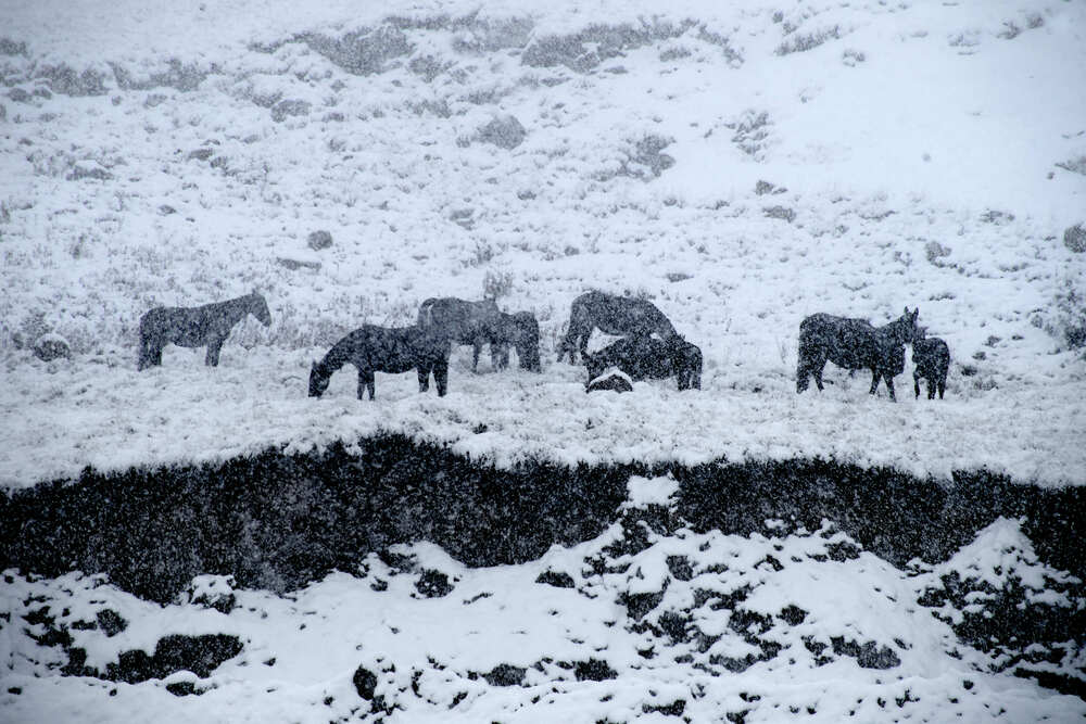 Фотография автора Карпович Максим