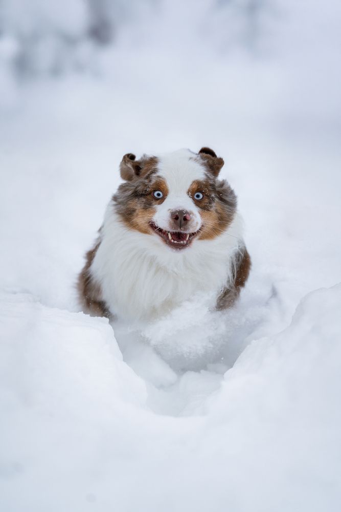 Photograph by Olga Shmeleva