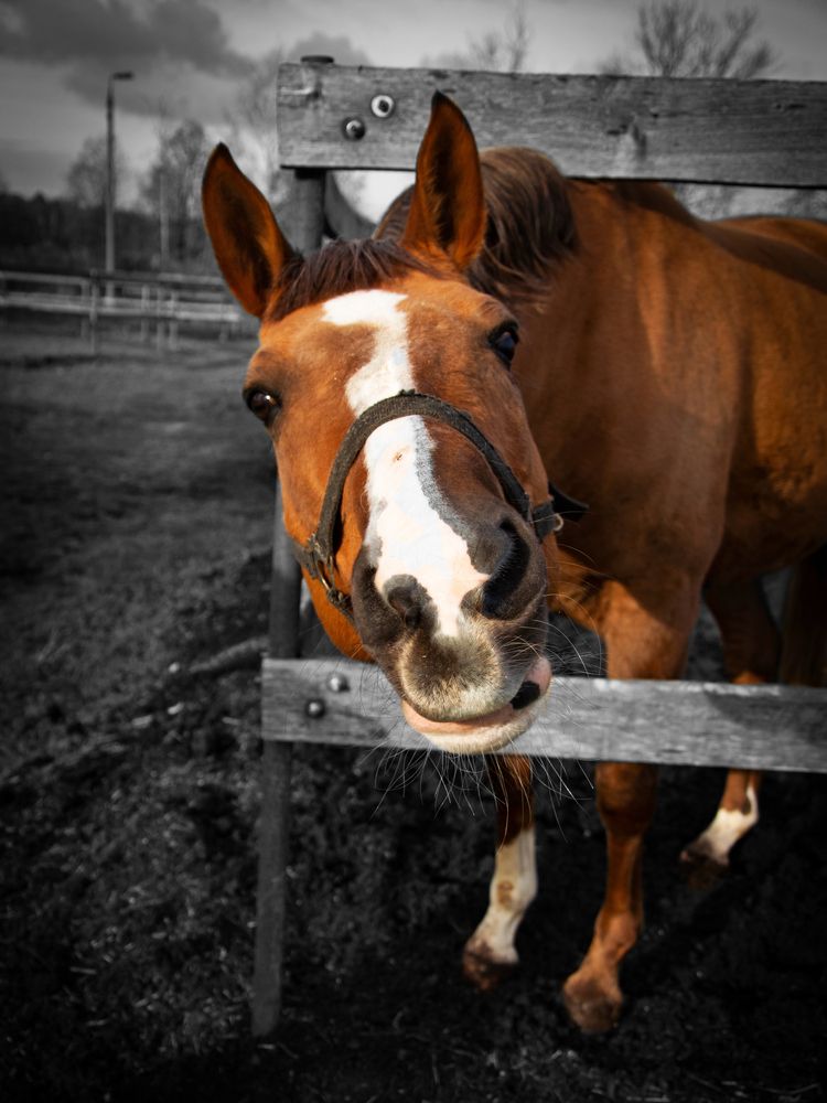 Photograph by Митюрникова Юлия