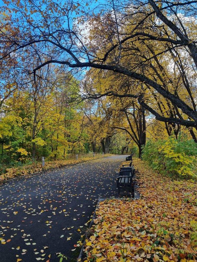 Photograph by Наталья Королева