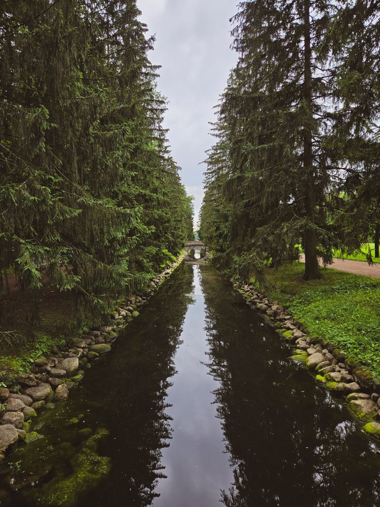 Photograph by Ольга Дёмина