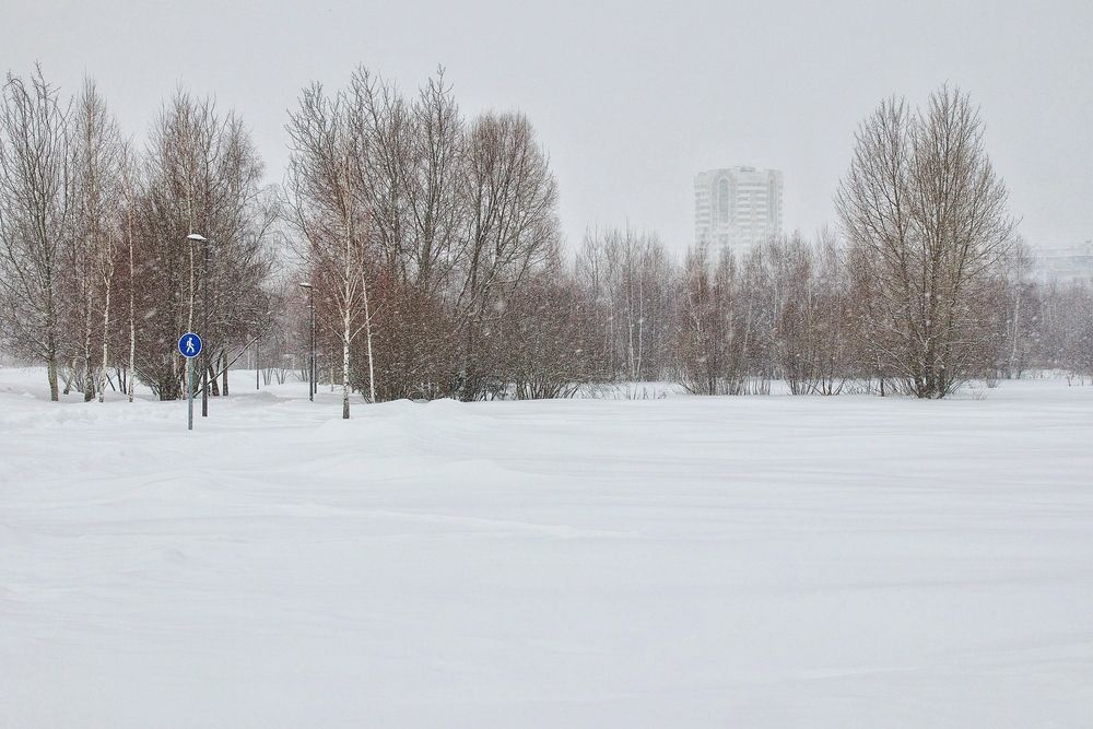 Photo #13085812
