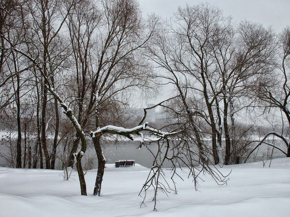 Photo #13085813