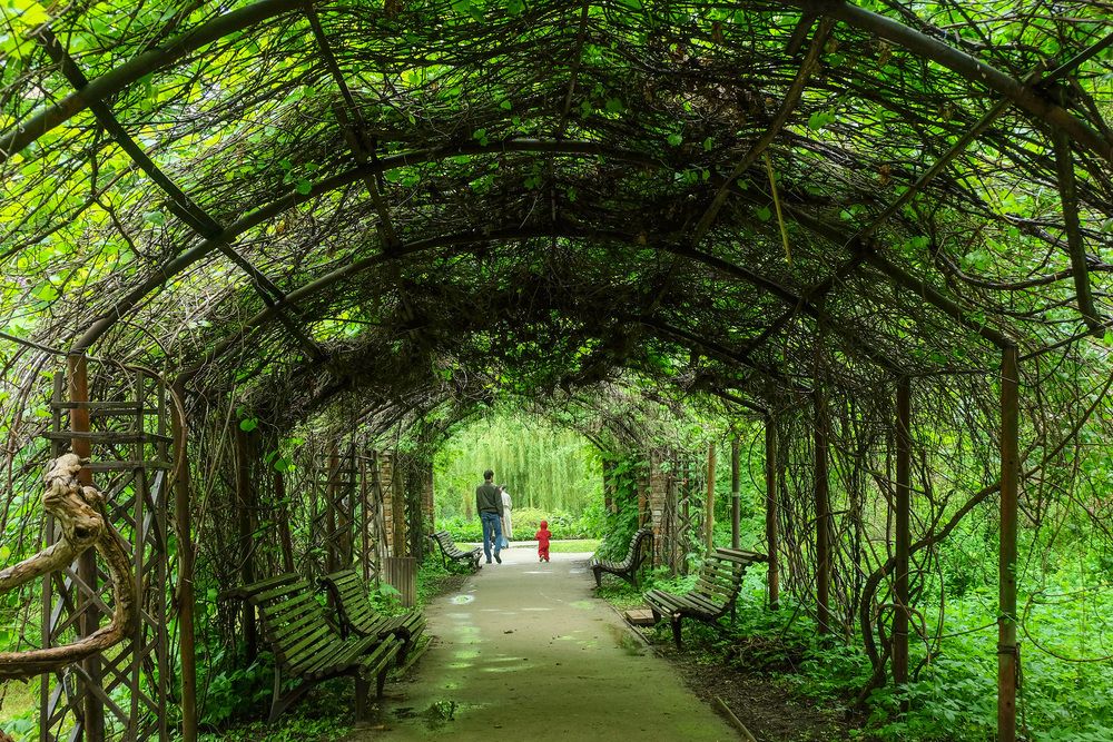 Фотография автора Наталья Липовская