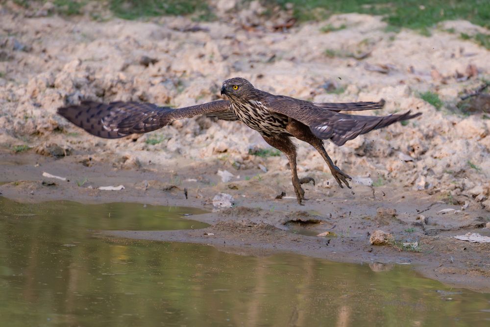 Photograph by Atul Sharma