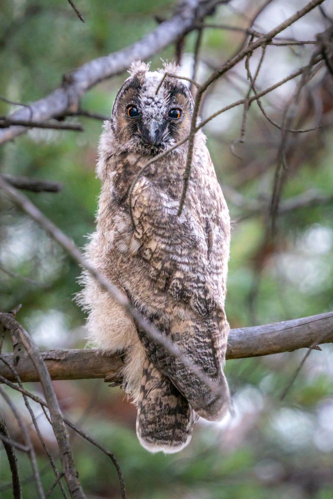 Photograph by Высотских Владимир