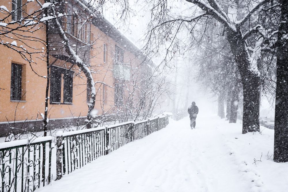 Photograph by Алексей Голубев