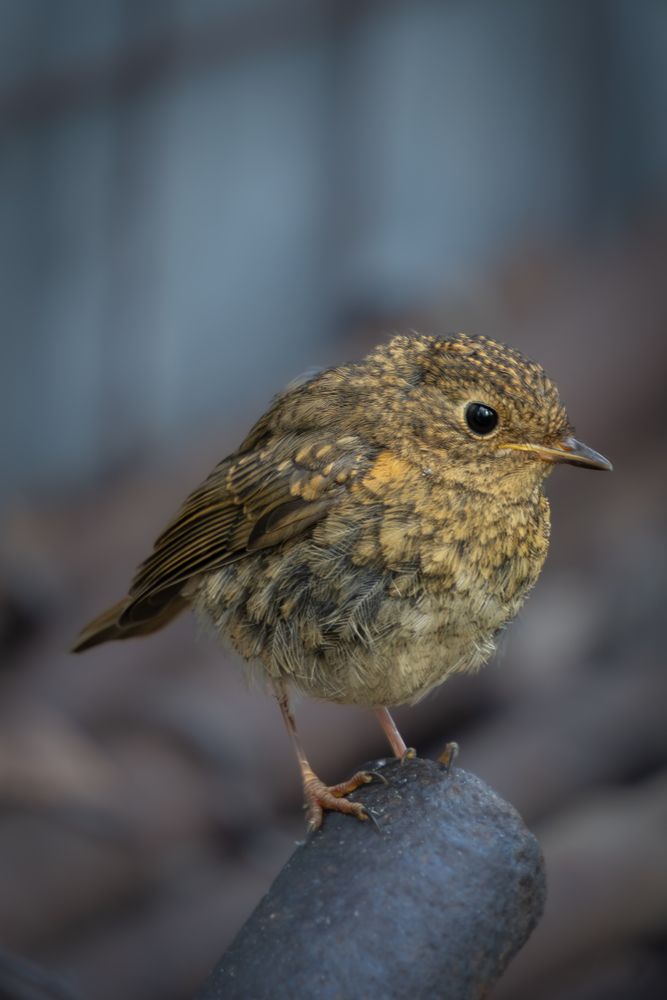 Photograph by Высотских Владимир