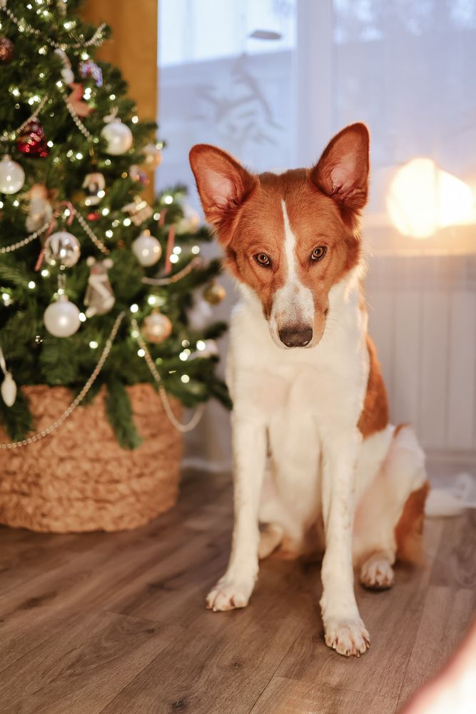 Photograph by Светлана Шибаршина