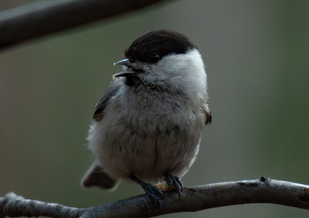 Photograph by Иван Сыч