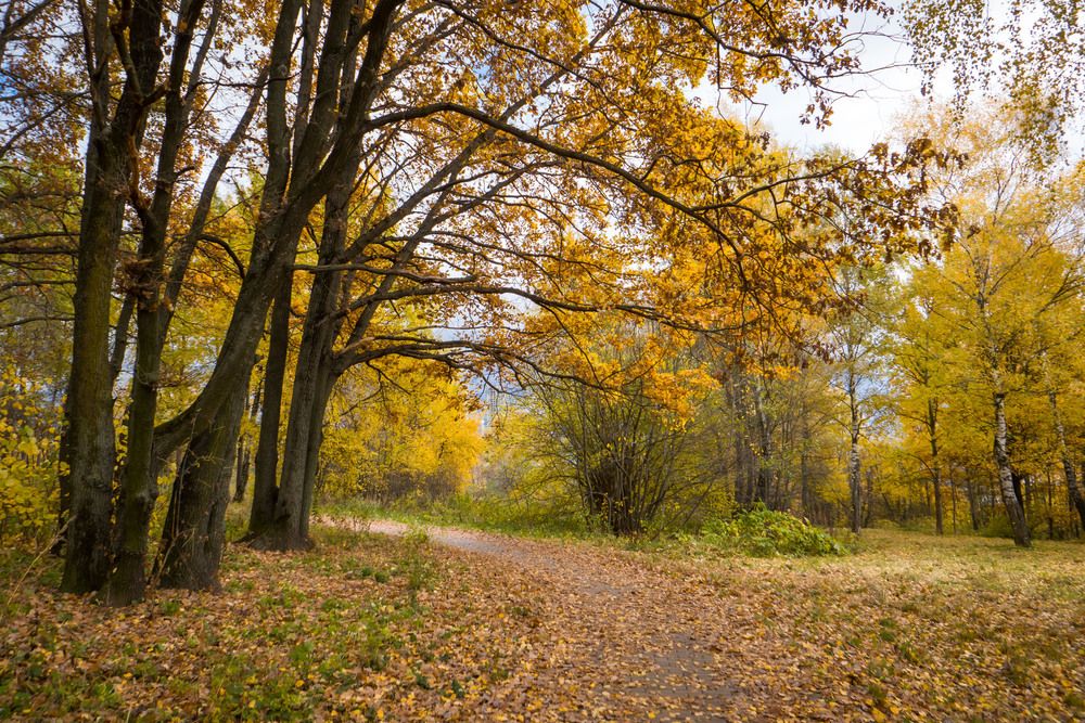 Photograph by Олег Дорошенко