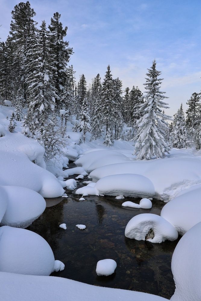 Фотография автора Кощеева Марина