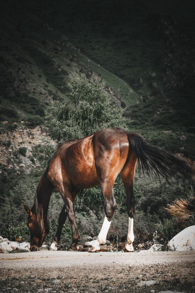 Фотография автора Кристина Шефер