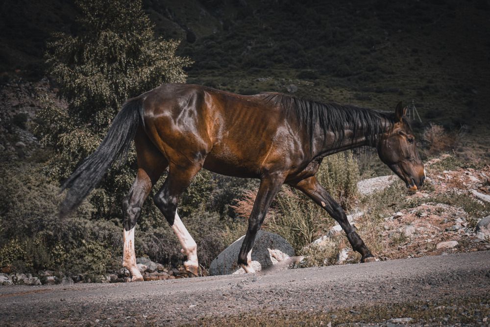 Фотография автора Кристина Шефер