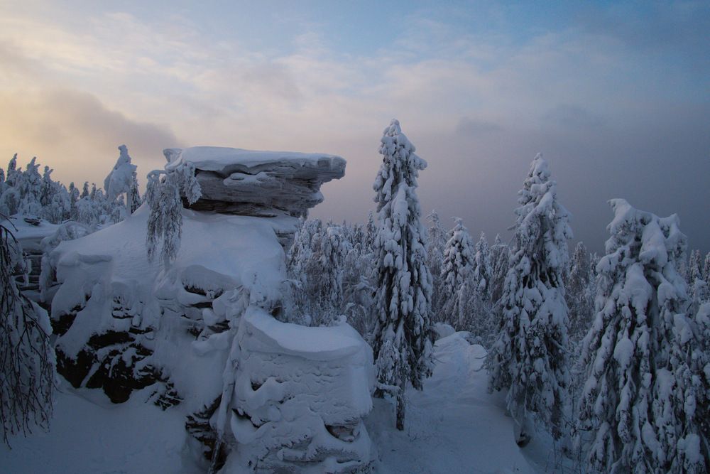 Photograph by Поляков Алексей