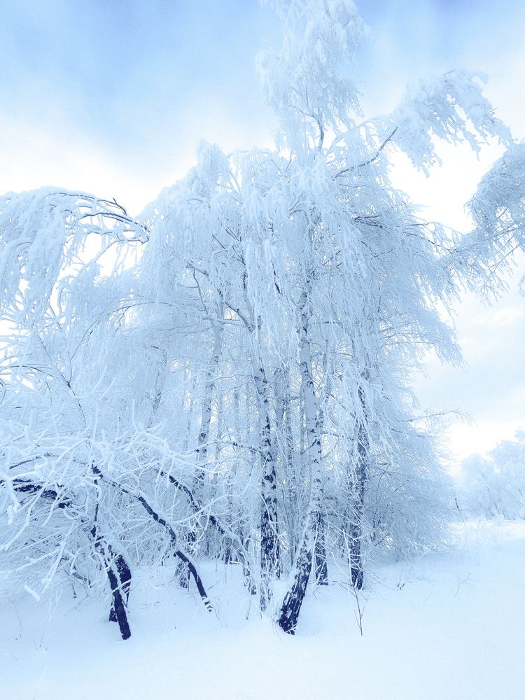 Photograph by Светлана Смук