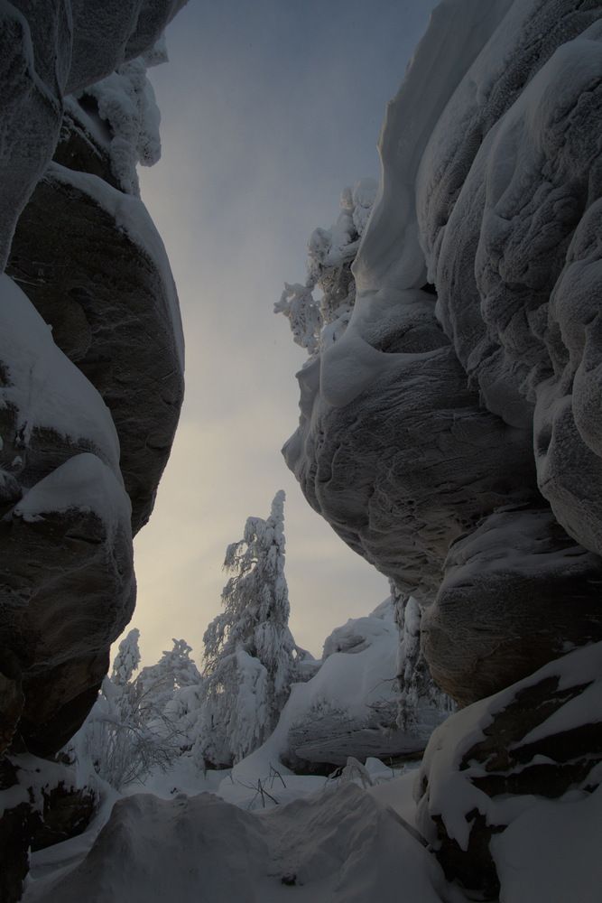Фотография автора Алексей Поляков
