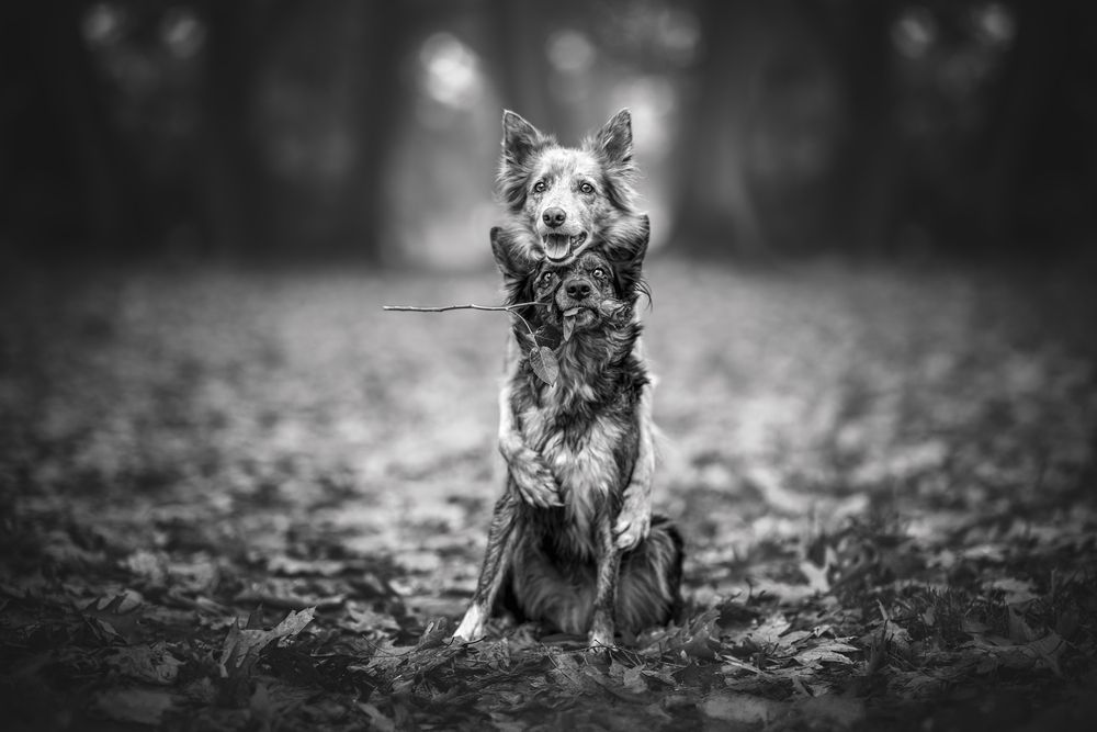 Photograph by Lucie Nermuťová