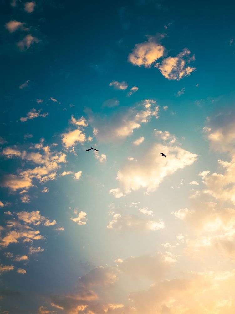 Photograph by Amit Sri