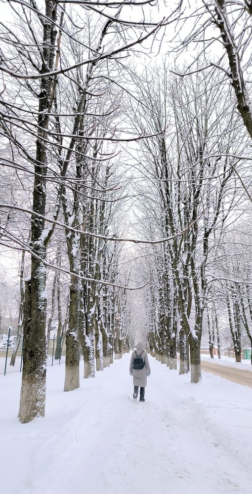 Photograph by Александр Житник