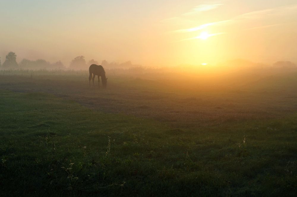 Фотография автора Мишустина Татьяна