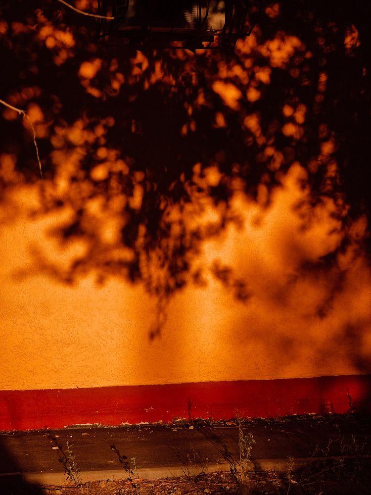 Photograph by Александра Воронина