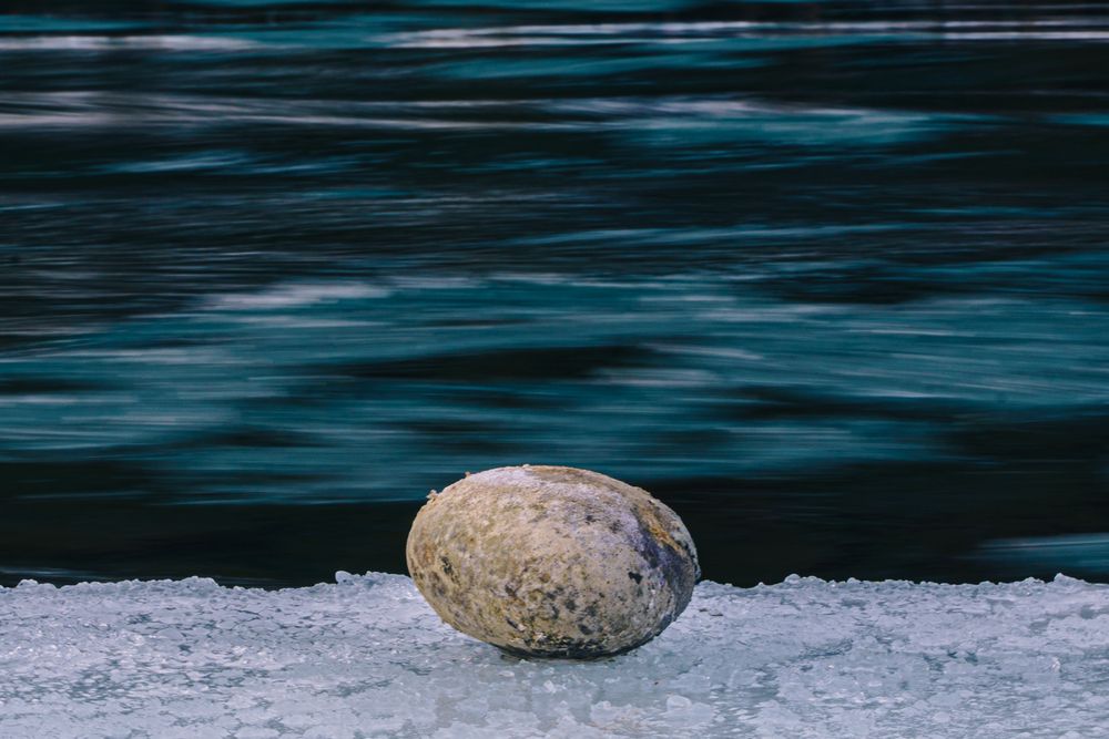 Photograph by Ирина Рыжова