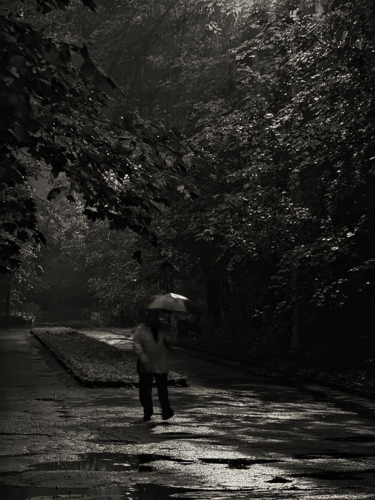 Фотография автора Ирина Шестакова