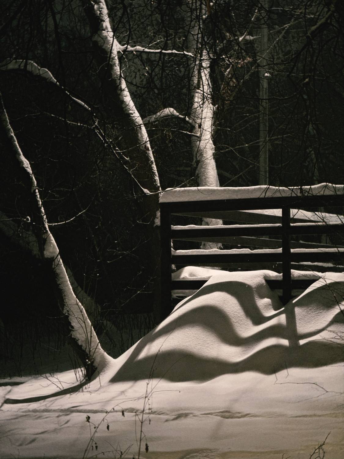 Фотография #13086337