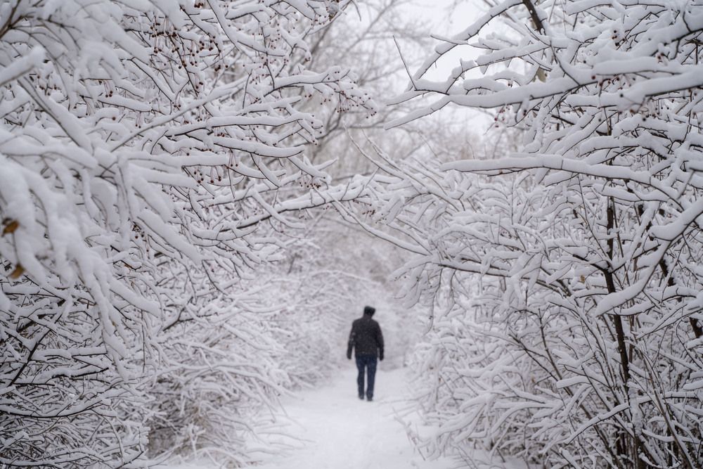 Photograph by Ирина Рыжова