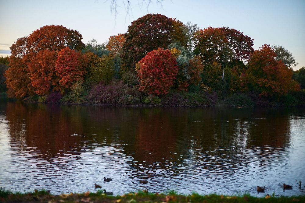 Photograph by Александр Белов
