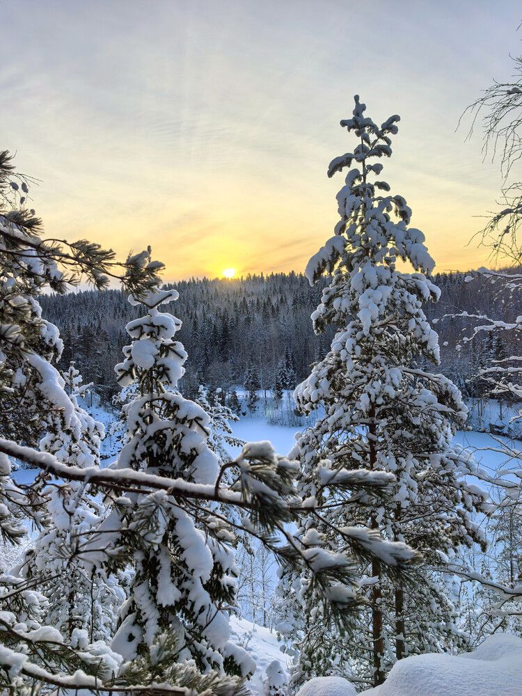 Photograph by Федоренко Мария